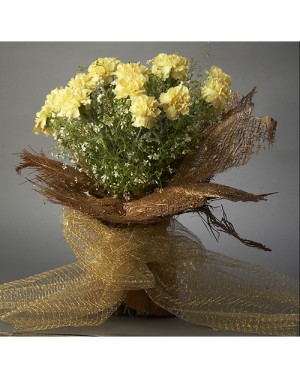  Sunny Surprise 20 Yellow Carnations