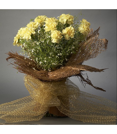  Sunny Surprise 20 Yellow Carnations