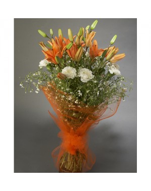 Thoughtful Sentiments