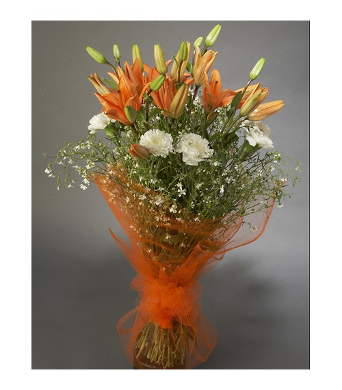 Thoughtful Sentiments