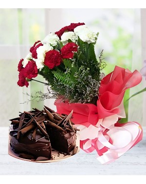 Love Bites Cake & Carnations