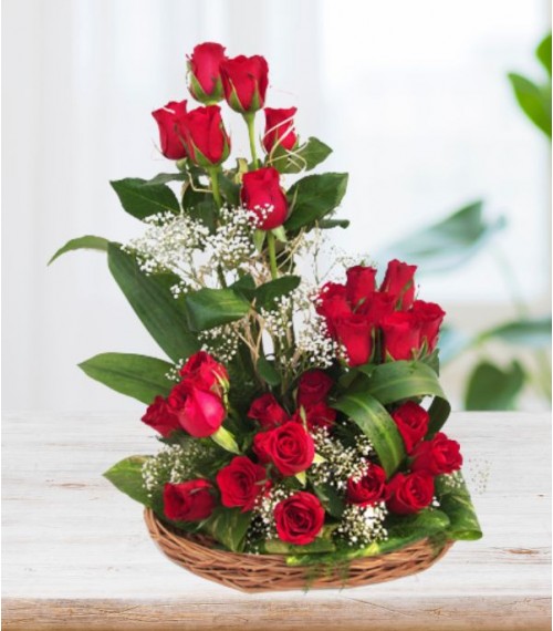 Romantic Whisper - 25 Roses