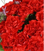 20 Red Fantasy Carnations Bunch