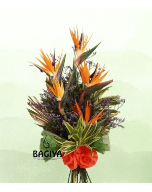 Extravagant Bird of Paradise Bunch