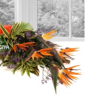 Extravagant Bird of Paradise Bunch