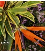 Extravagant Bird of Paradise Bunch