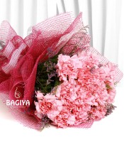 20 Crazy Pink Carnations Bunch
