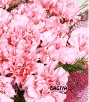 20 Crazy Pink Carnations Bunch