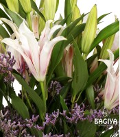 10 Pink Oriental Lilies Bunch