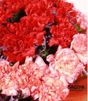 40 Carnations Love Reloaded Bunch