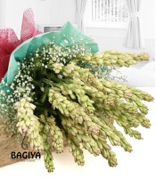 20 Beautiful Tuberose Flower Bunch 