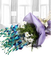 10 Rhythmic Blue Orchids bunch