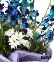 10 Rhythmic Blue Orchids bunch