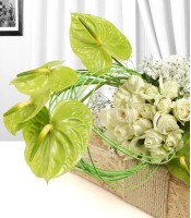 Celebrating Bunch Of Anthurium and Roses