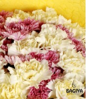 Peach and Yellow Bunch