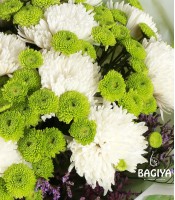 Green and White Flower Bunch