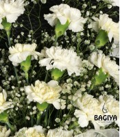 20 Black and White Carnations Bunch