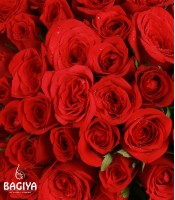 30 Rose Black Beauty designer Bunch