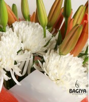 Chrysanthemum and Lily