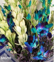 10 Tube Roses & 8 Blue Orchids Bunch