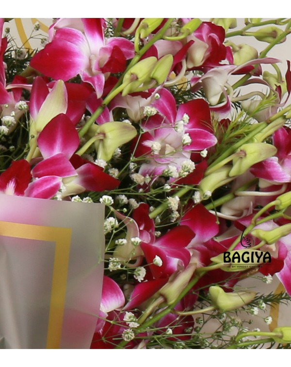 10 Orchids Bunch for delivery in Jaipur