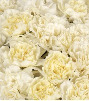 Box Bouquet Black and White 