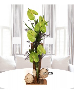 Exotic Green Anthuriums