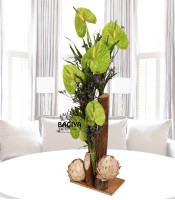 Exotic Green Anthuriums