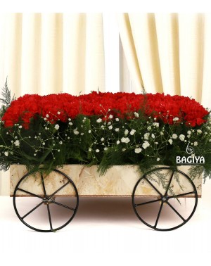 Carnations Cart