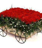 Carnations Cart