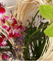 Anthuriums and Orchids