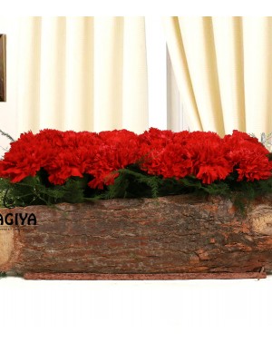 Bed of Red Carnation 