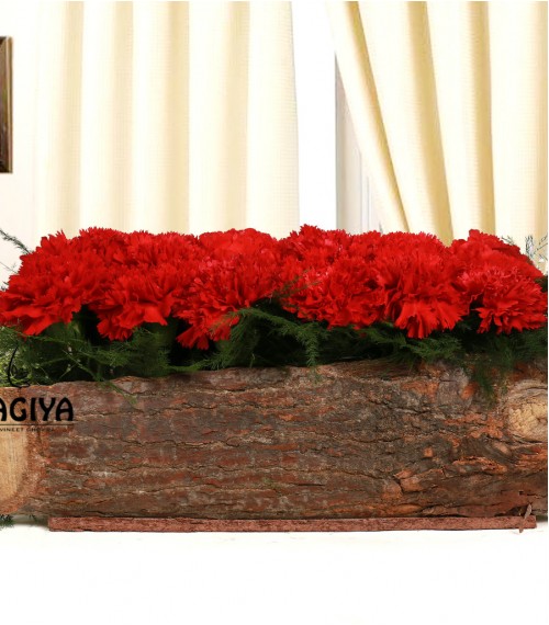 Bed of Red Carnation 