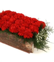 Bed of Red Carnation 