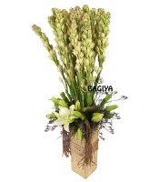 Tube Roses and Lilly 