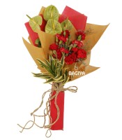 Green Anthuriums Bunch