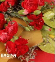 Green Anthuriums Bunch