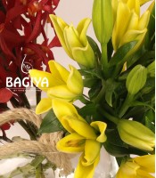 Red Mokaro and Lilies Vase