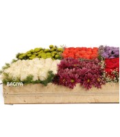 Flower Valley Designer Arrangement