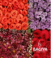 Flower Valley Designer Arrangement