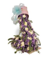 Fairy Tale Daisy Flowers