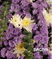 Fairy Tale Daisy Flowers