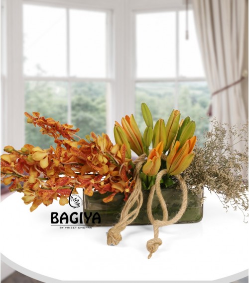 Vibrant Beauty Orchids Lilies