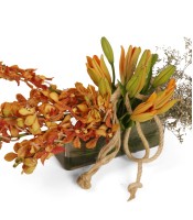 Vibrant Beauty Orchids Lilies