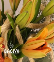 Vibrant Beauty Orchids Lilies