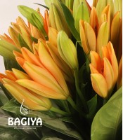 Simply Lillies and Mokaro 