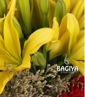 Lily Carnations Bunch