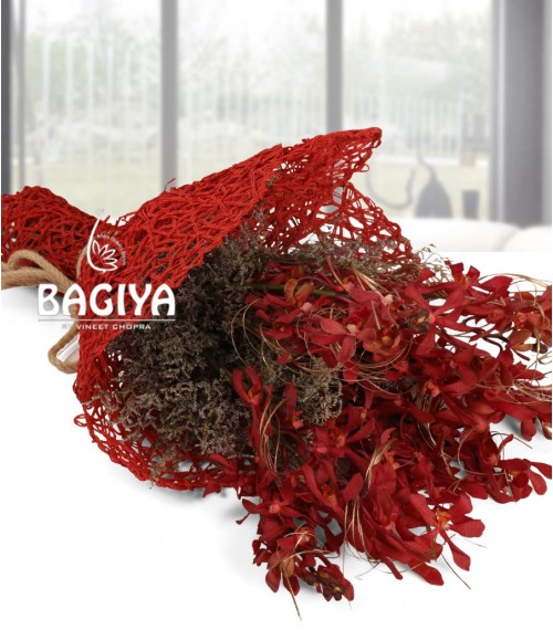 I Am in Love - Mokaro orchids