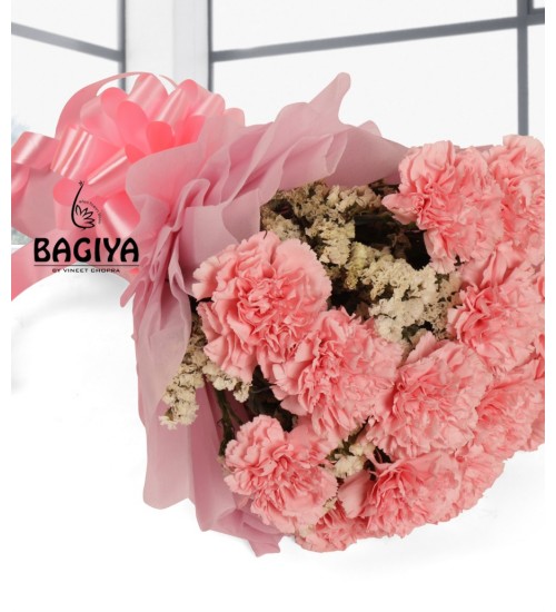 15 Baby Pink Carnations Bunch
