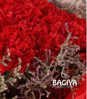 Red Carnations Bunch
